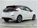 2021 Nissan Leaf