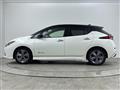2021 Nissan Leaf