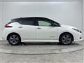 2021 Nissan Leaf