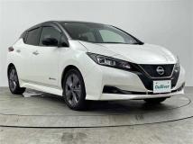 2021 Nissan Leaf