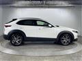 2020 Mazda CX-3