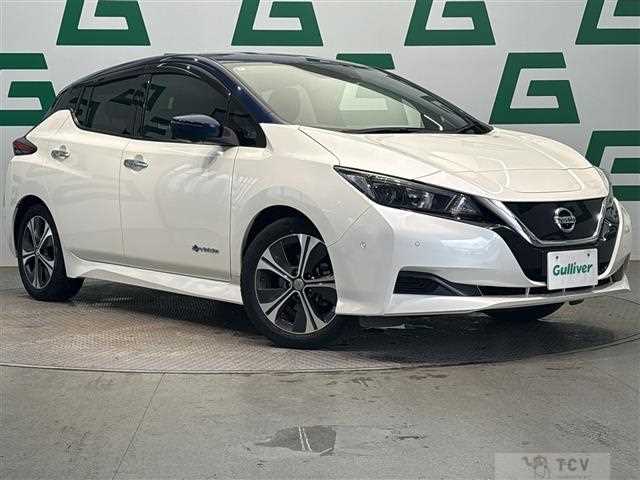 2018 Nissan Leaf