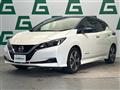 2018 Nissan Leaf