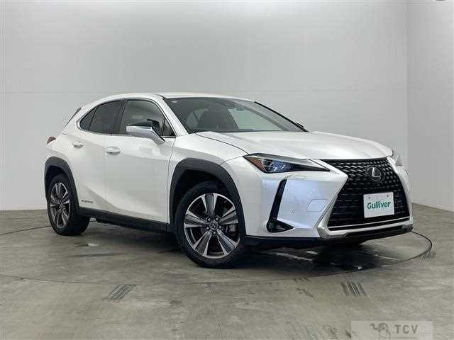2021 Lexus UX