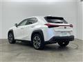 2021 Lexus UX