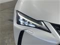 2021 Lexus UX