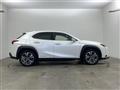 2021 Lexus UX
