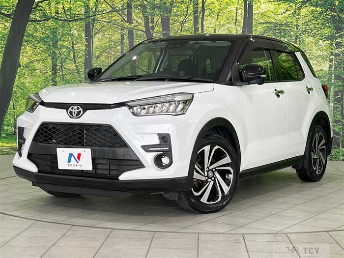 2019 Toyota Raize