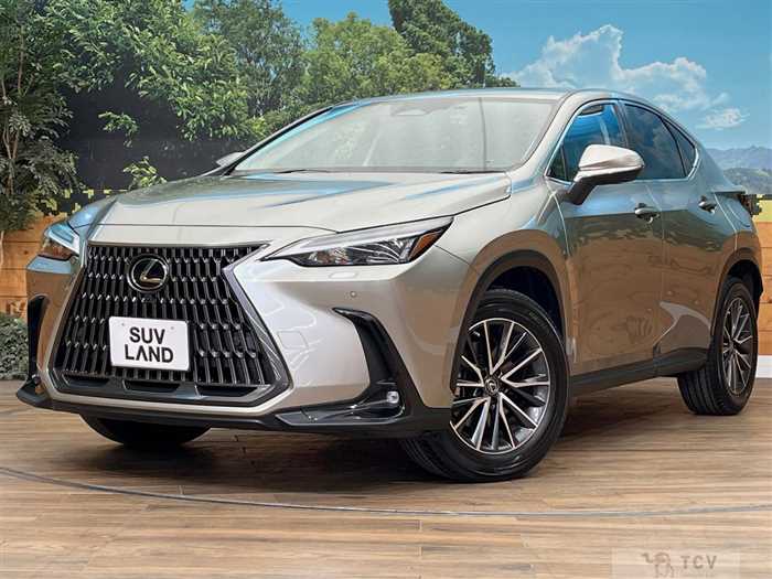 2023 Lexus NX