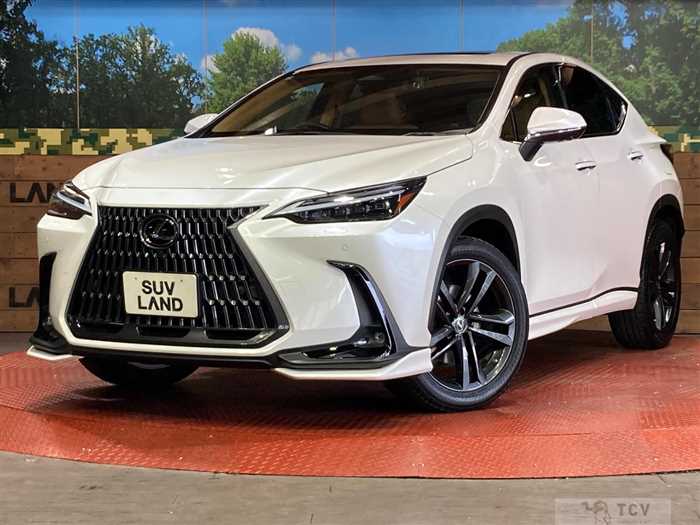 2023 Lexus NX