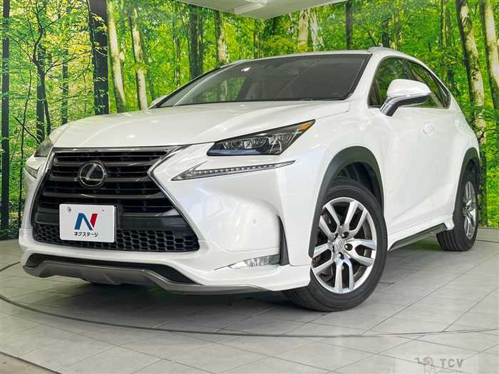 2014 Lexus NX
