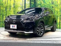 2015 Lexus NX
