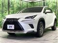 2019 Lexus NX