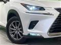 2019 Lexus NX