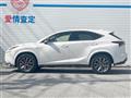 2014 Lexus NX