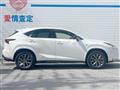 2014 Lexus NX