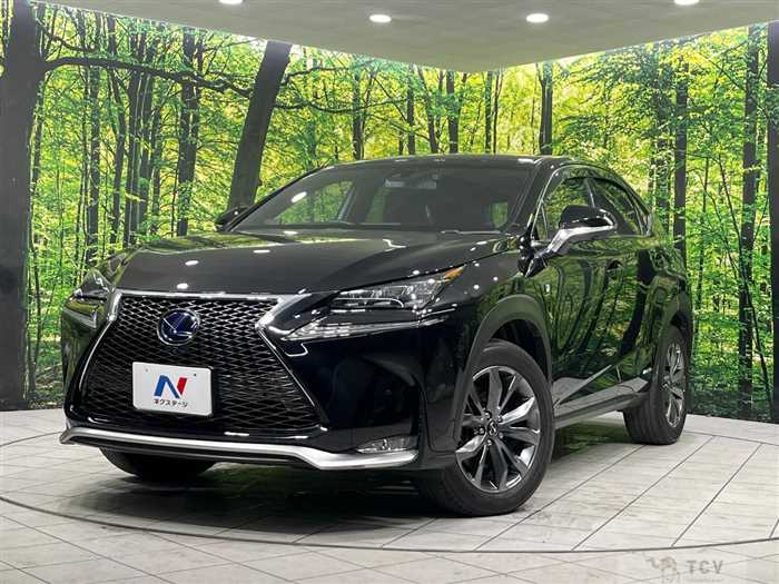 2015 Lexus NX