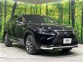 2015 Lexus NX