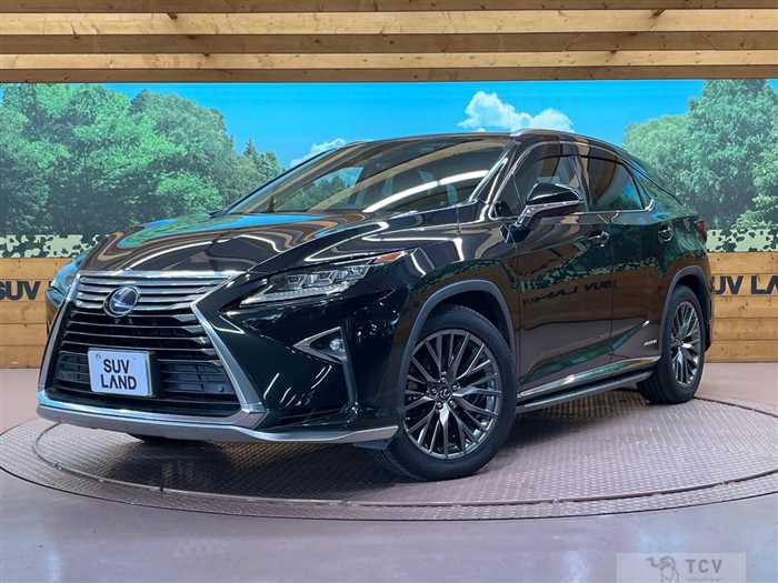 2016 Lexus RX