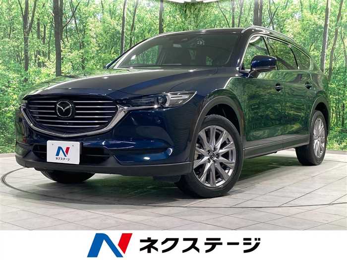 Mazda Cx-8 2019 photo 4