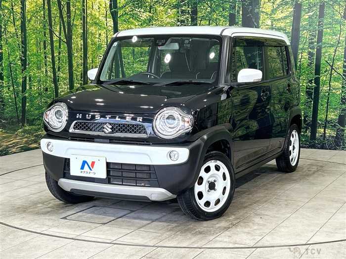 2015 Suzuki Hustler