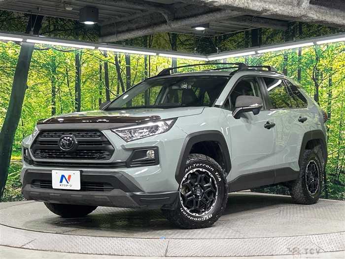 2019 Toyota RAV4
