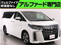 2019 Toyota Alphard G