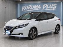 2021 Nissan Nissan Others