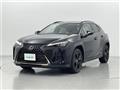 2021 Lexus UX