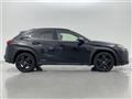 2021 Lexus UX