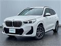 2023 BMW X1