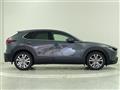 2021 Mazda CX-3