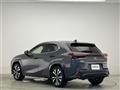 2022 Lexus UX