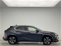 2022 Lexus UX