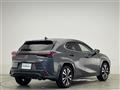 2022 Lexus UX