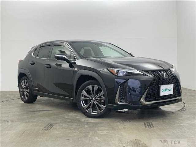 2021 Lexus UX