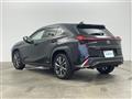 2021 Lexus UX