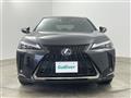 2021 Lexus UX