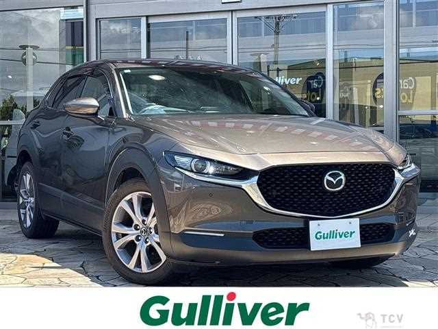 2021 Mazda CX-3