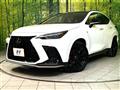 2025 Lexus NX