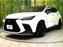 2025 Lexus NX
