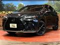2021 Lexus NX