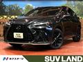 2021 Lexus NX