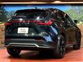 2021 Lexus NX