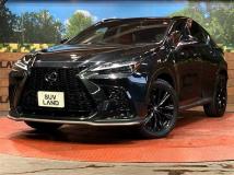 2021 Lexus NX