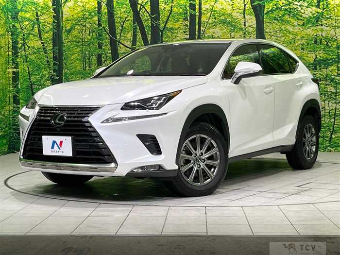 2020 Lexus NX