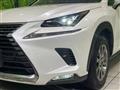 2020 Lexus NX