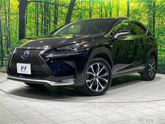 2015 Lexus NX
