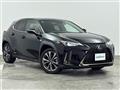 2021 Lexus UX