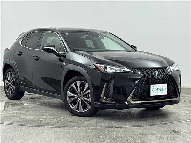2021 Lexus UX